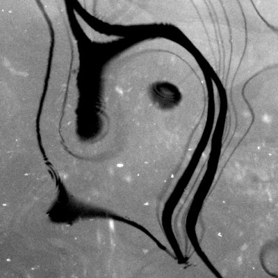 28bw