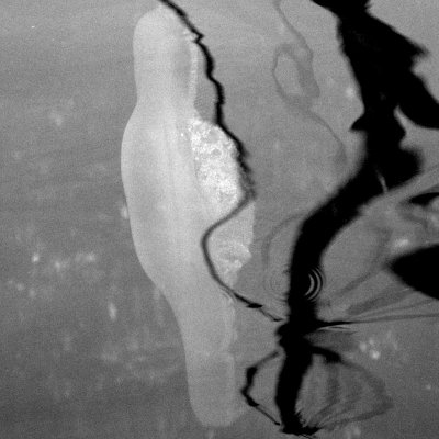 31bw