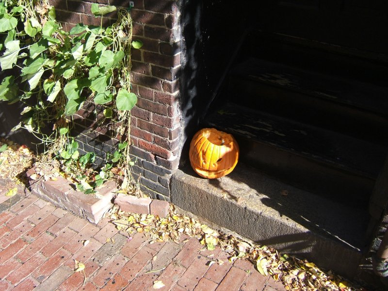 Beware of Pumpkin