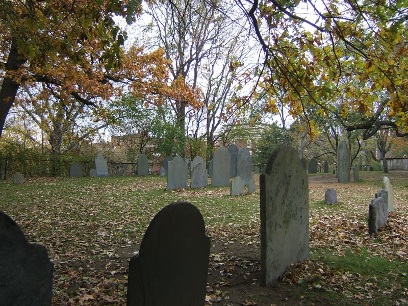 Rear View