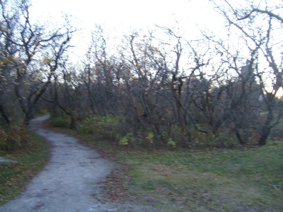 Terror Trail