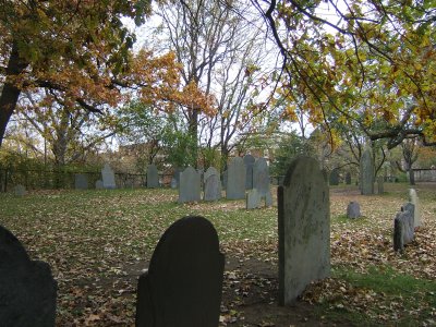 Rear View