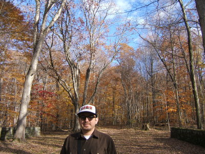 Fall Boy