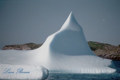 Iceberg-Newfoundland.Canada