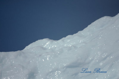 Iceberg-Newfoundland Canada
