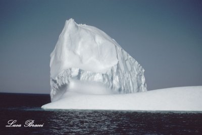 Iceberg-Newfoundland-
