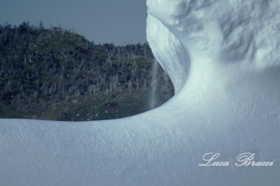 Iceberg under the sun - newfoundland