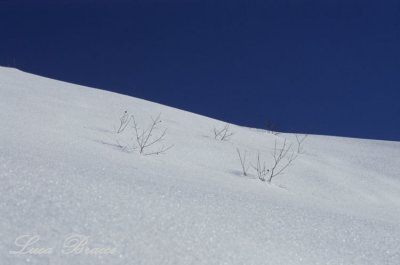 Alpi-Apuane-in-winter.jpg