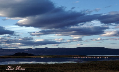 Laguna-Nimes---El-Calafate ARG