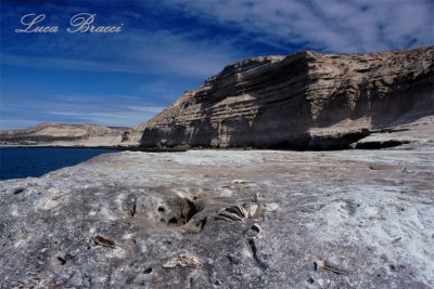 Fossili--Peninsula-Valdez.jpg