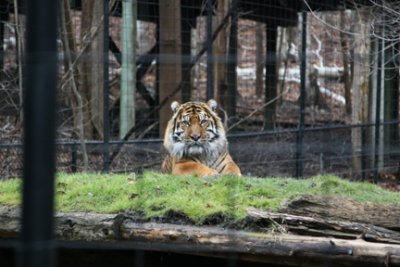 Toronto Zoo