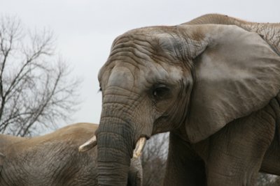 zoo 030.jpg