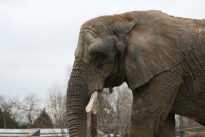 zoo 031.jpg