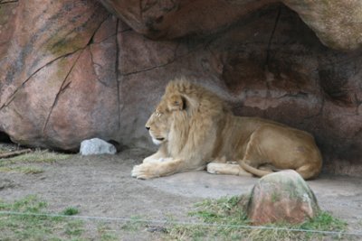 zoo 058.jpg