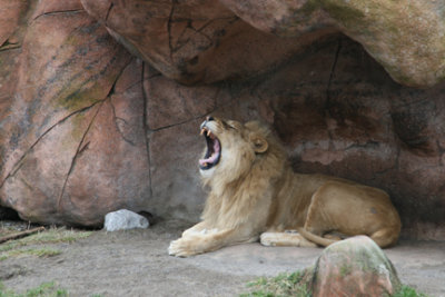 zoo 060.jpg