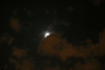 IMG_0617.jpg