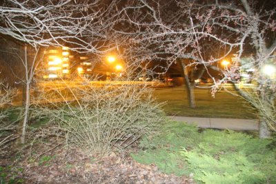 IMG_0624.jpg