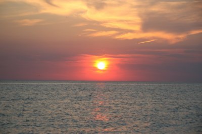 IMG_1955.jpg