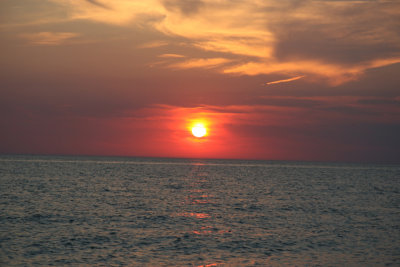IMG_1956.jpg