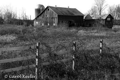 Barn and Fence