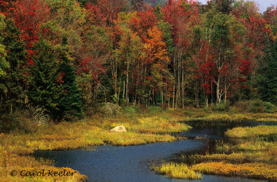Adirondack Fall Colors