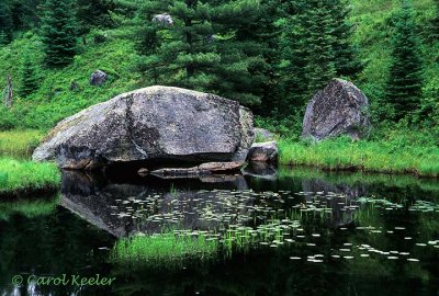Turtle Rock Algonquin