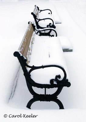 Winter Benches