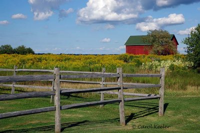 Barn with Goldenrod