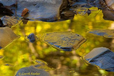 Rocky Reflections