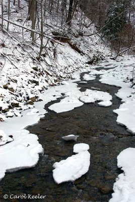 Winter Stream