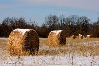 Winter Hay Bales