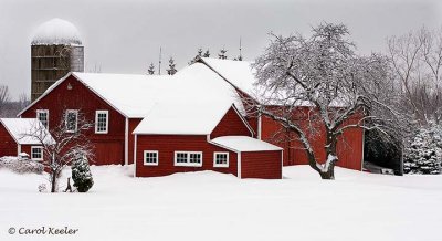 Red Barns in Snow