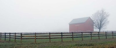 A Foggy Morning on the Farm