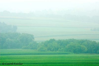 Fields in Fog