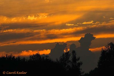 Toward Sunset