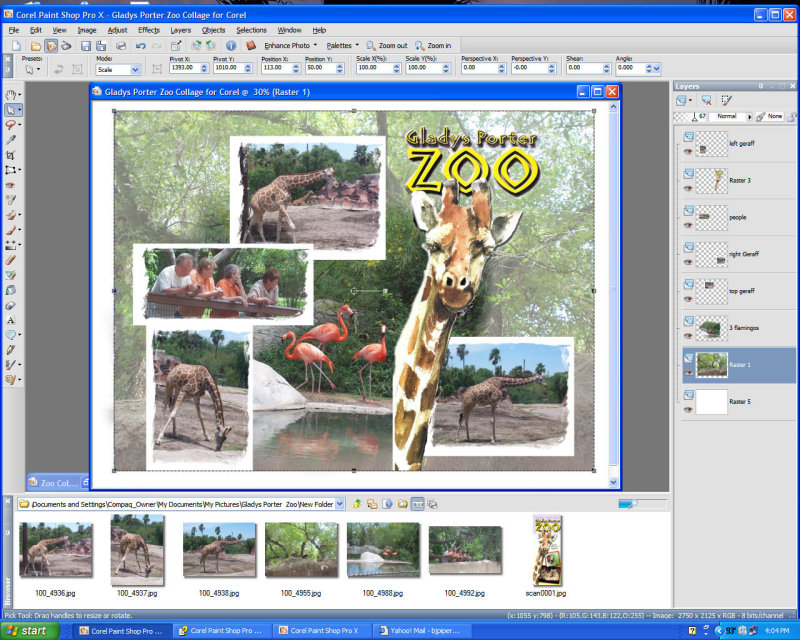 Screen Shot of Zoo Collage for Corel.jpg