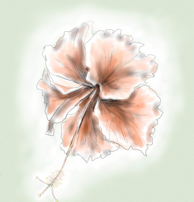  Lesson 3 -flower sketch tinted.JPG