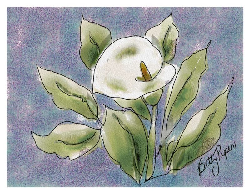 Lily, watercolor by selections.jpg