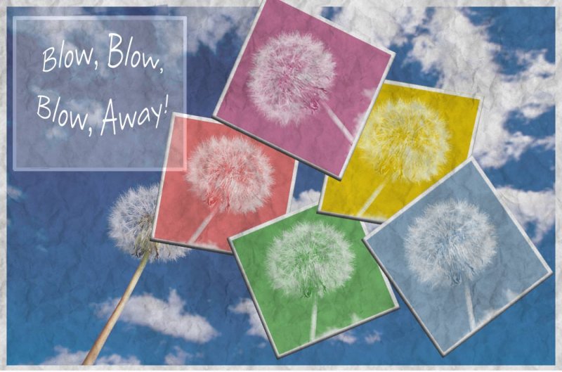 blow-blow-away-1.jpg