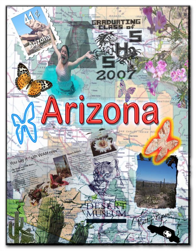 Lesson Six -Arizona-2007.jpg