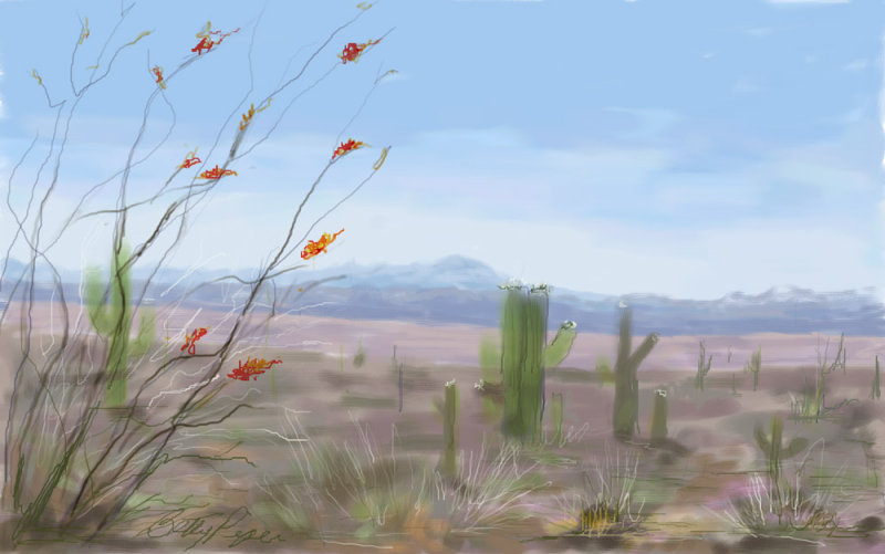 landscape-of-desert2.jpg