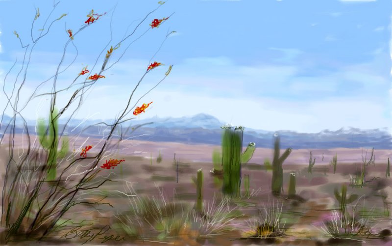 landscape-of-desertlevels.jpg