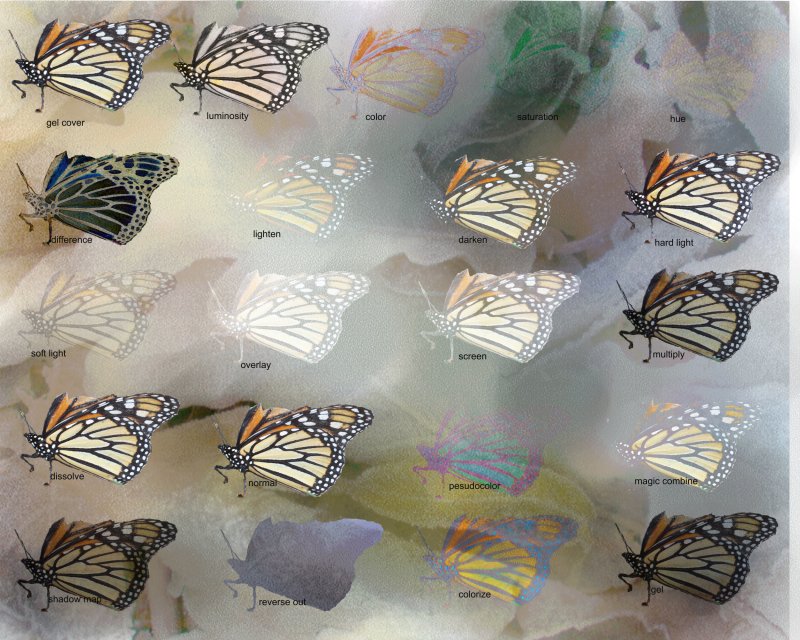 Butterfly-pattern-blending-.jpg