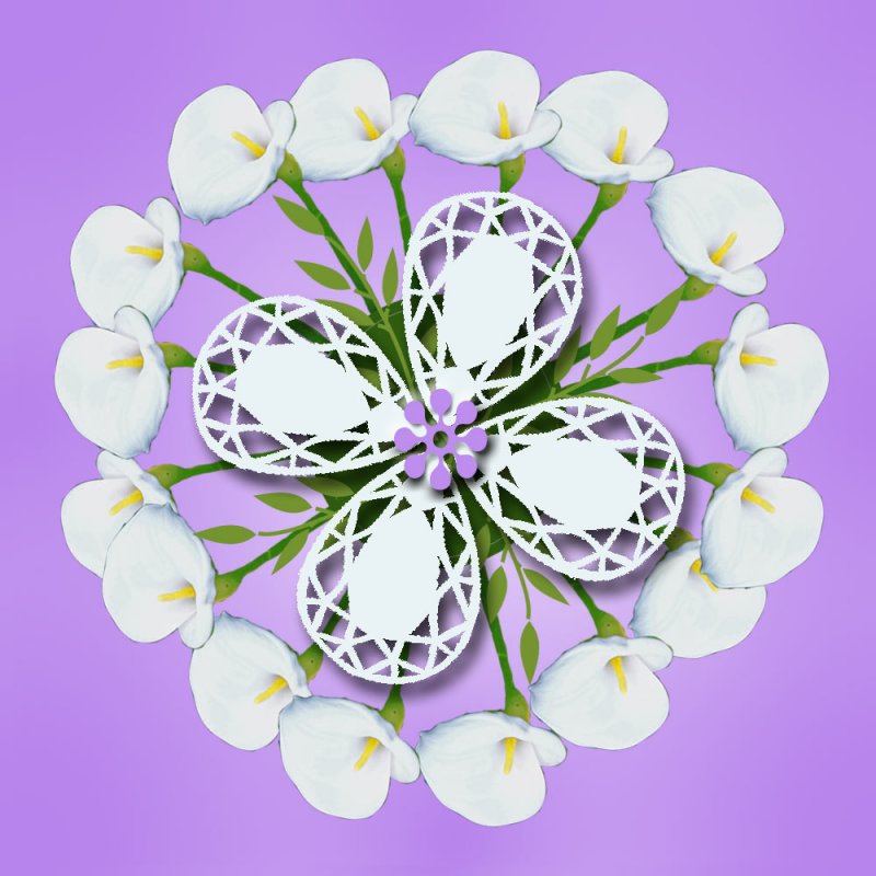 lily-shape-circle.jpg