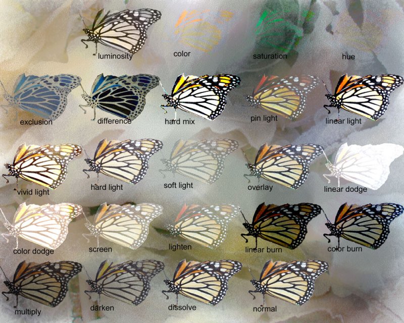 PSE-4-Butterfly-blending-mo.jpg
