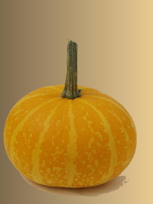 yellow-gourd.jpg