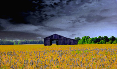 Mustard Field and Barn