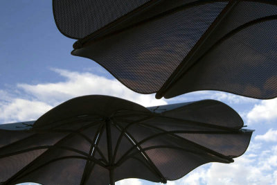  Umbrellas-Boulder Dam