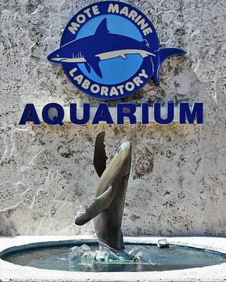 MOTE AQUARIUM