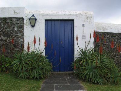 Flowers always make a door more welcoming